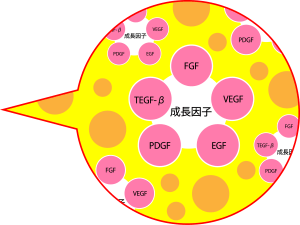 抗炎症性サイトカイン「IL-1Ra」と成長因子の量を増幅