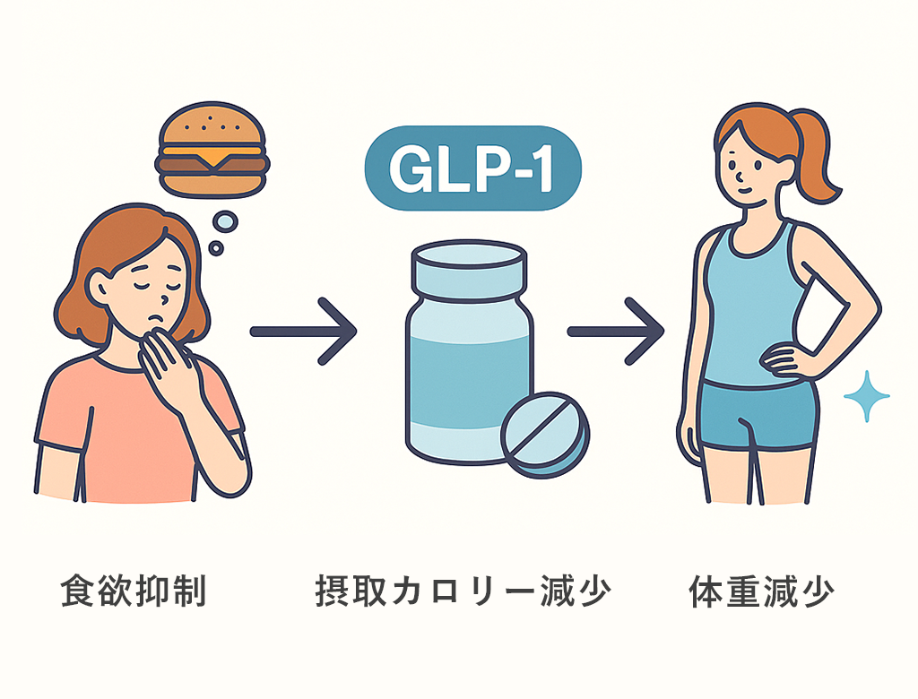 GLP-1 食欲抑制 摂取カロリー 体重減少