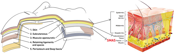 SMAS（スマス）