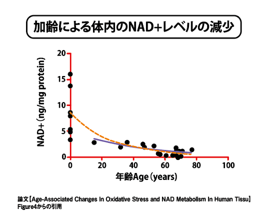 ＮＡＤ＋を増やすにはNMNの補給が不可欠！