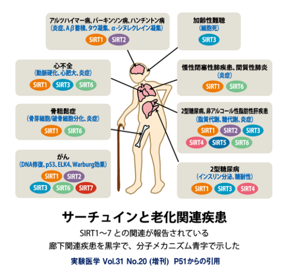 NMN点滴療法による期待できる疾病