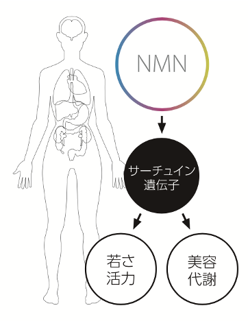 期待できる効果