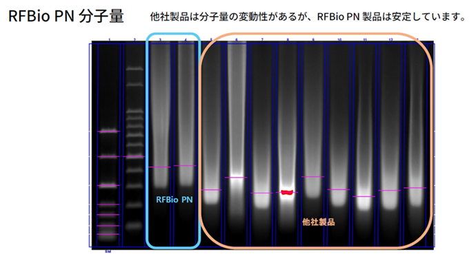 RFBio PN 分子量 他社製品は分子量の変動があるが、RFBio PN製品は安定しています。 RFBio PN 他社製品